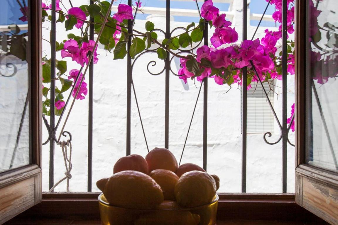 La Casa De Alicia Villa Salobreña Dış mekan fotoğraf